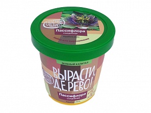 Набор для выращивания растений - Пассифлора съедобная (Зеленый Капитал, zk-020)